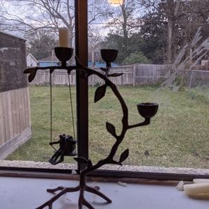 Unique Rose Vine Candle holder